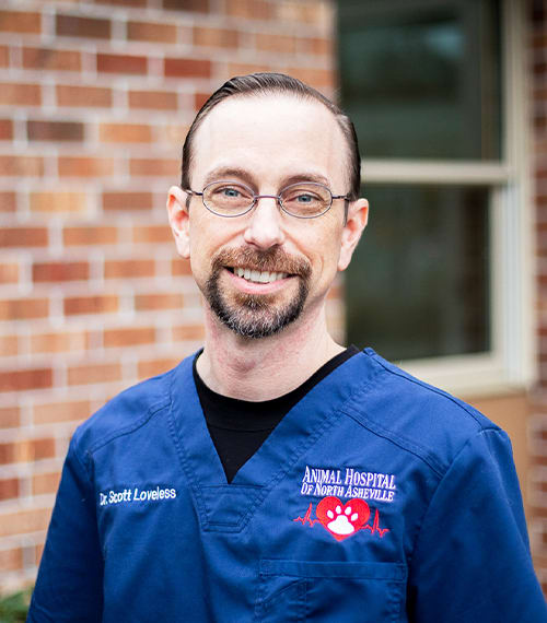 Dr. Scott Loveless, Asheville Vet