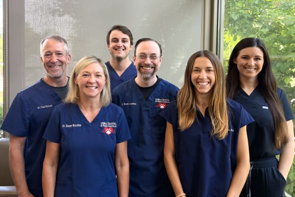 Complete Veterinary Care, Asheville Vet