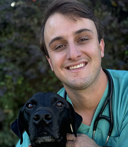 Dr. Cody Pfister, North Asheville Vet