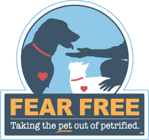 Fear-Free Certified, Asheville Vet